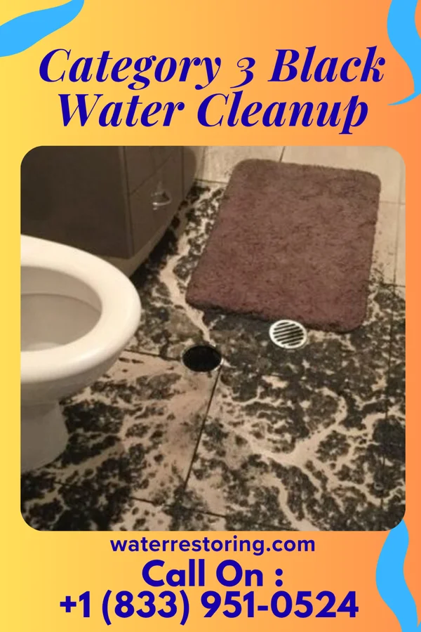 Category 3 Black Water Cleanup in Plainfield, OH