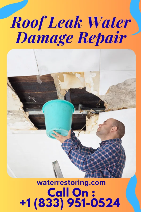 Roof Leak Water Damage Repair in Plainfield, OH
